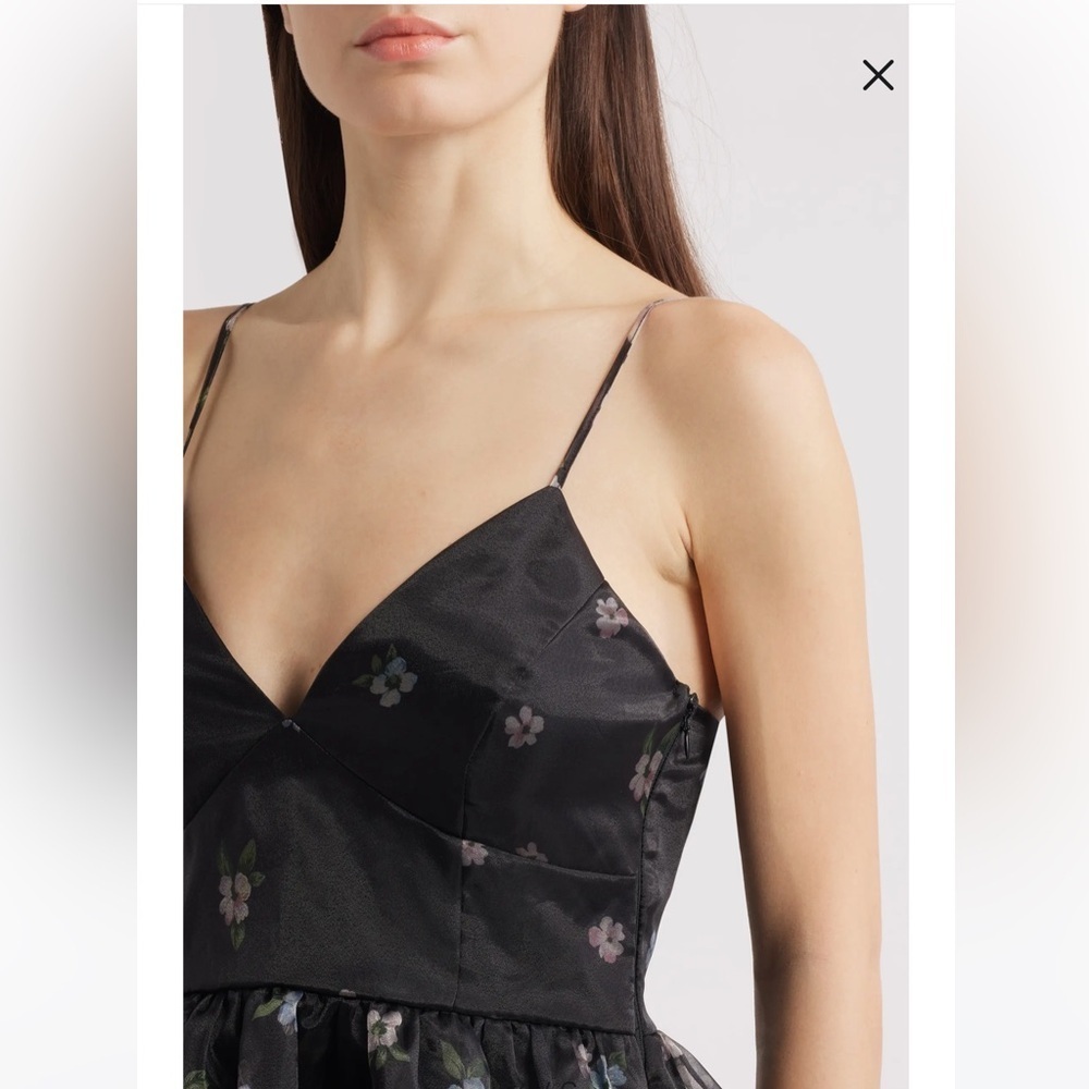 NWT Lulus Isabel Floral Print Organza Minidress - Picture 4 of 7